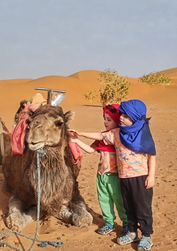 WhatsApp Image 2026-01-11 at 13.29.59